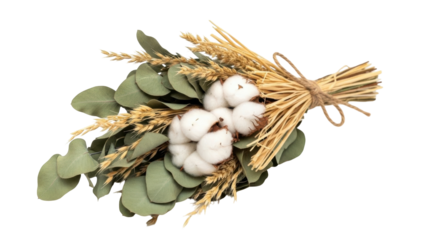 Isolated still life of dried cotton flowers, wheat ears, and eucalyptus leaves tied with string