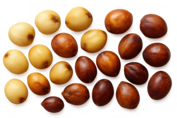 Sapote seeds spread out, showing natural variations in color and texture. Isolated top view for easy integration