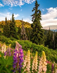 Vibrant mountain meadow with colorful wildflowers and tall evergreen trees under a blue sky.