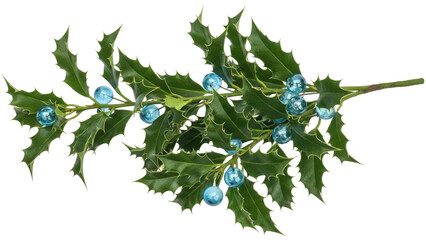 Isolated holiday holly sprig with blue glass berries for Christmas, New Year's decor