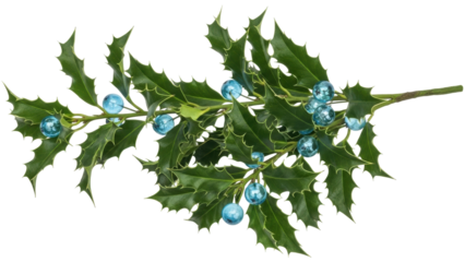 Isolated holiday holly sprig with blue glass berries for Christmas, New Year's decor