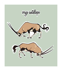 Vector card with hand drawn two graceful male oryxes with their heads down. Ink drawing, graphic style. Beautiful wild animal illustration
