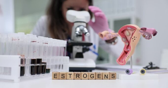 Wooden blocks spell word Estrogens between uterus model and blood tubes. Laboratory worker checks slide under microscope measuring estrogens level