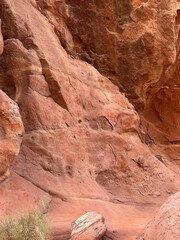 Petroglyphs, rock inscriptions, at Wadi Rum, Jordan