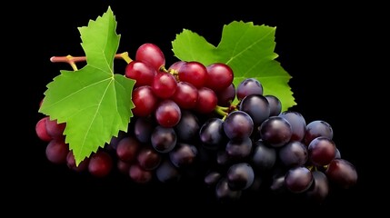 Fresh grapes with lush green leaves against a dark backdrop, perfect for wine labels, healthy eating campaigns, and vineyard promotions