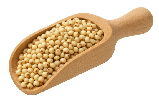 Sorghum grains in wooden scoop, healthy gluten-free cereal for diet, isolated on transparent background