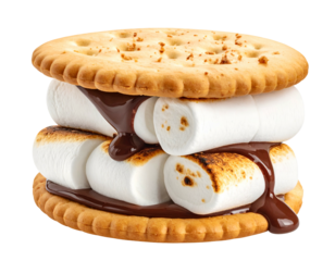 Delicious toasted marshmallow and chocolate sandwich on crackers