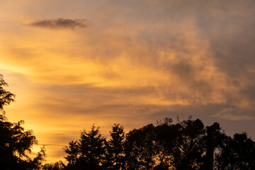 sunset over the trees