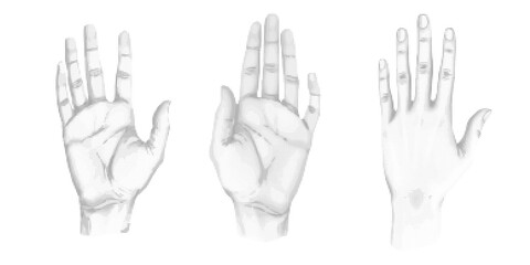 Collection of Hands, brush, gesture, hand showing five fingers, illustration in halftone style, soft dotted texture, warm emotional mood, vector