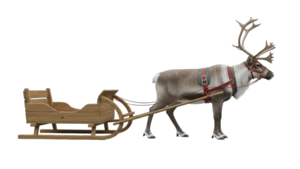 Isolated reindeer with wooden sleigh, winter holiday season, Christmas concept and decoration