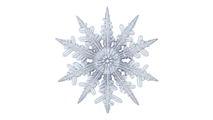 Isolated snowflake with detailed patterns, winter season crystal of ice with intricate design