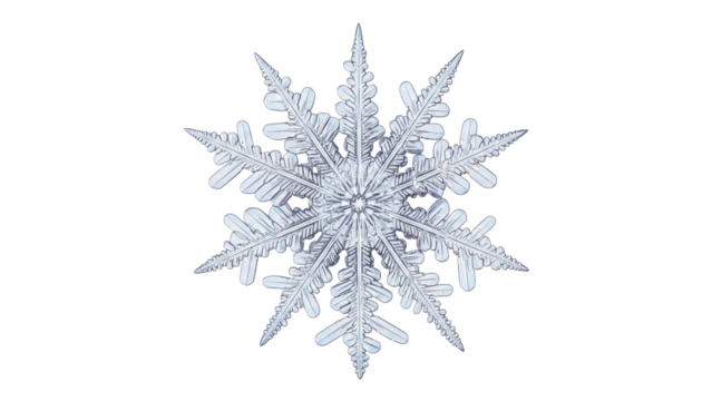 Isolated snowflake with detailed patterns, winter season crystal of ice with intricate design