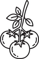 Simple line drawing of a vine with three ripe tomatoes and leaves