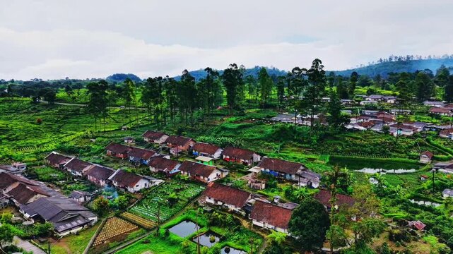 a peaceful village in the middle of a tea plantation in central java indonesia