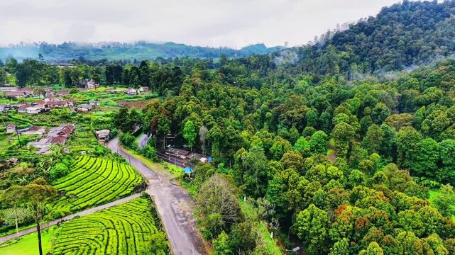 a peaceful village in the middle of a tea plantation in central java indonesia