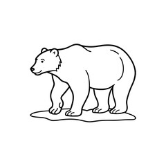 Polar bear walking on ice floe isolated on white background isolated on transparent background