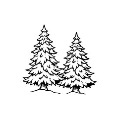 Pine tree illustration with two evergreen conifers depicted in a hand drawn style isolated on white background isolated on transparent background
