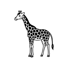 Giraffe illustration a tall mammal with a long neck and distinctive spotted pattern standing gracefully isolated on white background isolated on transparent background
