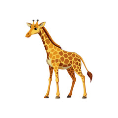 Naklejka premium A cute young spotted giraffe with a long neck and brown patterns stands in profile, isolated on a white background for a safari wildlife nature concept