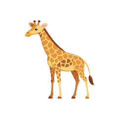 Giraffe standing profile view with spotted pattern illustration of an african savanna animal with a long neck isolated on white background isolated on transparent background