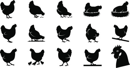 Collection of black chicken silhouettes with distressed texture on white background