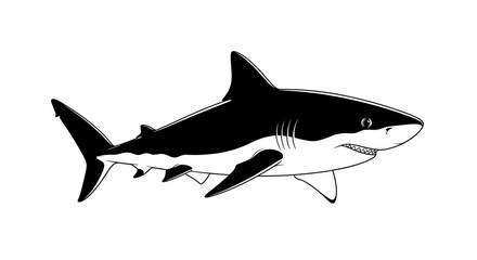 Detailed Black and White Shark Illustration on White Background.