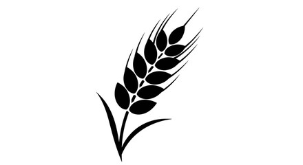 Black and White Wheat Stalk Illustration for Agriculture.