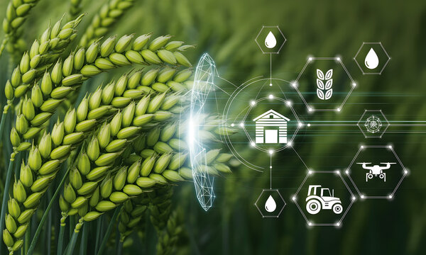 Modern agriculture technology enhancing wheat yields with smart farming solutions