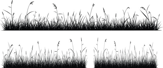 Stunning vector silhouette of wild grasses and reeds, perfect for nature designs, creating serene landscapes, or adding organic elements to any project