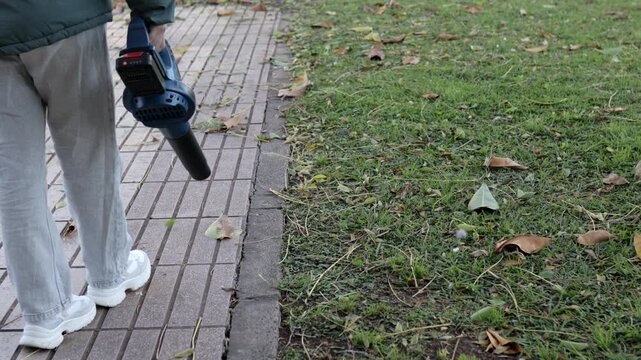 Cordless leaf blower clearing leaves along grass edge and pavement