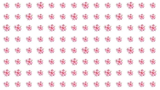 A delicate motion graphic featuring a sparse, wide set pattern of tiny pink floral clusters, emphasizing lightness and subtle feminine grace for baby or wedding videos.