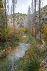 Autumn Riverbank with Waterfall and Bright Fall Leaves