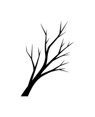 Striking silhouette of a bare tree branch, a stark symbol of winter, minimalism, and nature's raw beauty, perfect for artistic designs and seasonal themes