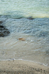 海岸に打ち寄せる波