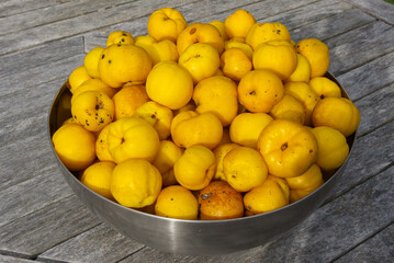 Japanese Quince fruits in bowl