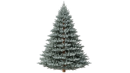 Isolated winter fir tree, holiday design element, festive season, decoration, seasonal art