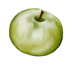 Healthy Food Art: Realistic Watercolor Painting of a Green Apple