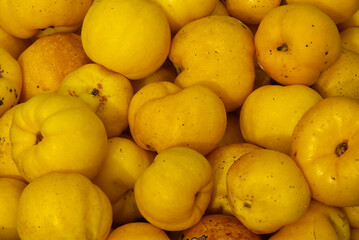 Ripe Japanese Quince fruits