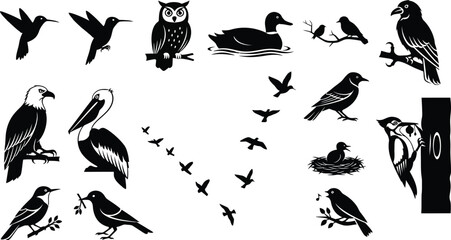 Collection of black and white bird silhouettes for design and illustration