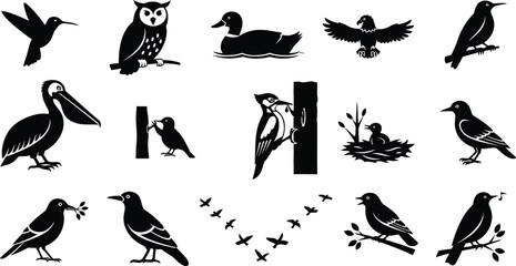 Collection of bird silhouettes diverse species in black and white vector art