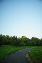 森に向かう一本道