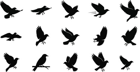 Collection of black bird silhouettes in various flying positions on white background