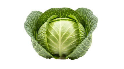 Fototapeta premium fresh cabbage isolated on white or transparent background. PNG