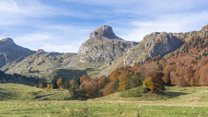 Scenic view of rocky mountains with autumn trees under a bright blue sky on a sunny day outdoors