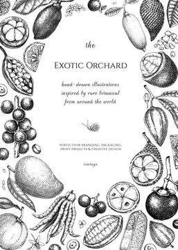 Exotic fruit background. Tropical plants hand drawn vector illustration. Healthy food frame, card, invitation design template. NOT AI generated