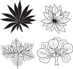 black and white flowers