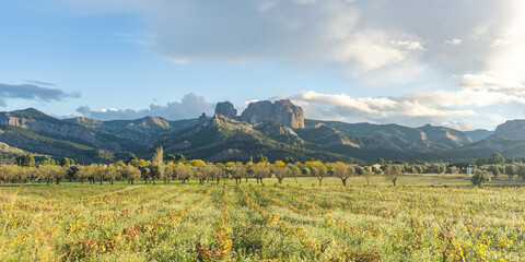 Landscape view of a field with trees and mountains in the distance under a cloudy sky on a sunny day