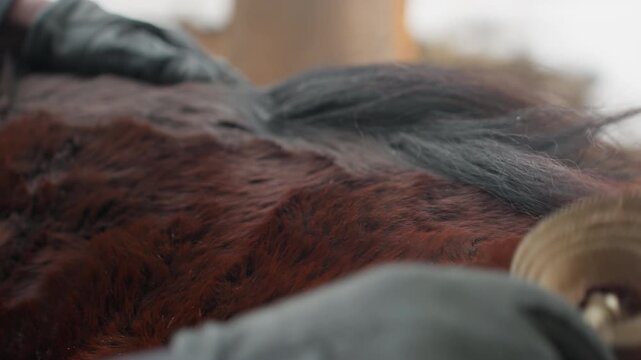 no input text has been supplied for processing, your message did not include any textual information to analyze, cannot generate variations because original text is missing from your request