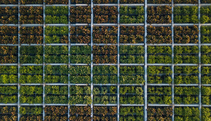 Aerial View of Green Roof with Grid Pattern Sustainable Architecture.