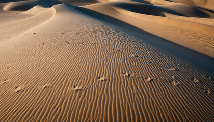 Golden Sand Dunes with Ripples and Footprints in the Desert.